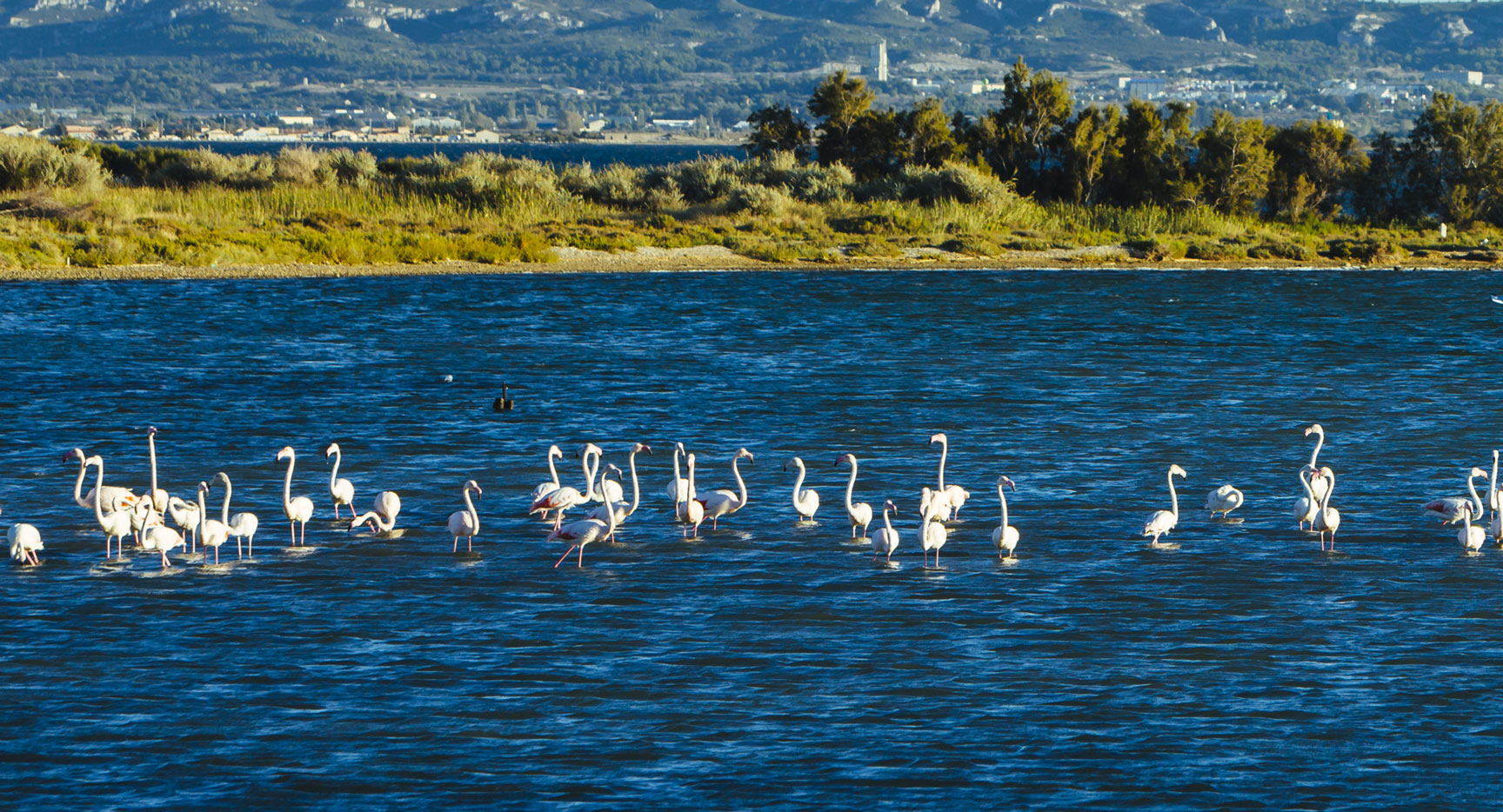 Berre l'Étang Site officiel de la ville